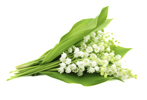 Bukett liljekonvalj